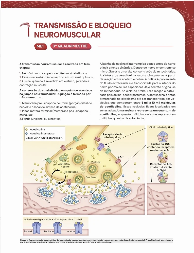 Ficha-resumo MedCof Anest sobre transmissão e bloqueio neuromuscular